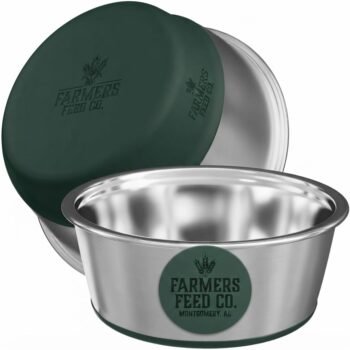 Cat & Dog Food Bowl — Hunter Green, 8 Cup