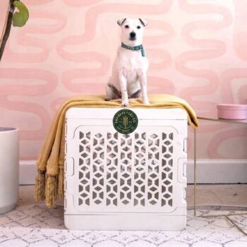 PAWD Modern Collapsible Dog Crate